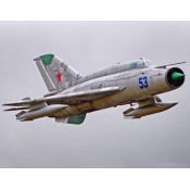 Freewing Mig-21 80mm EDF Jet